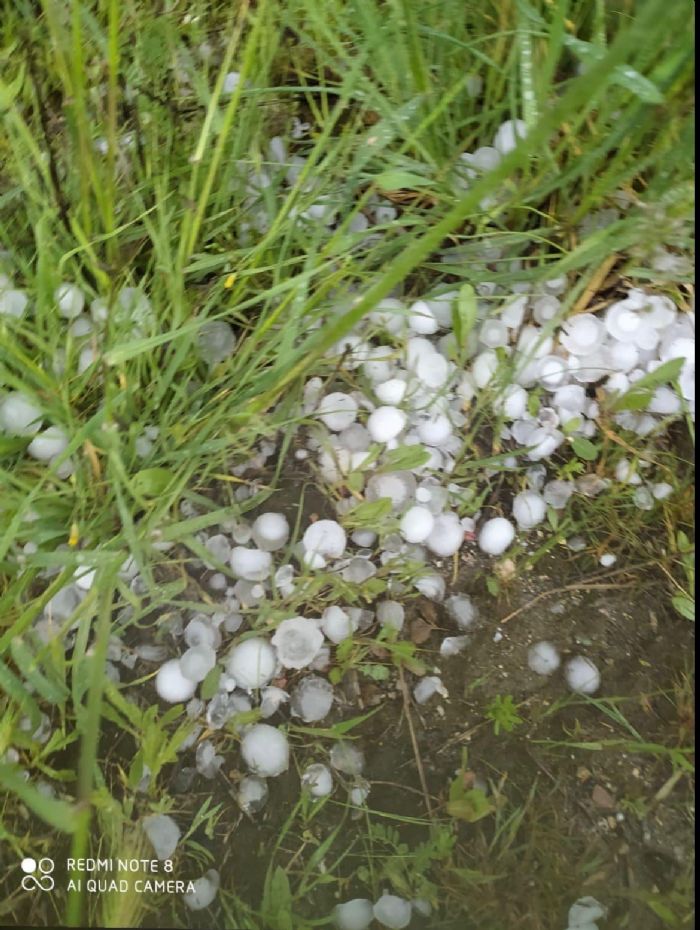 Bakan Turanl: Dolu ya iftililerimize byk zarar verdi