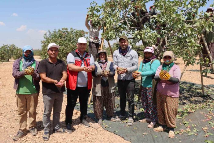 Gaziantepte baklavalk boz Antep fst hasad balad