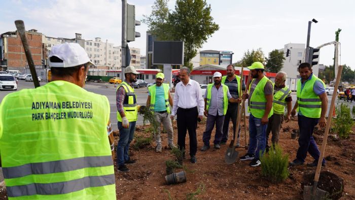 Refj ve kavaklar yenileniyor