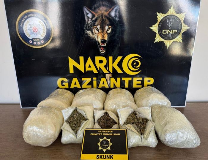 Gaziantepte 5 kilo skunk ele geirildi