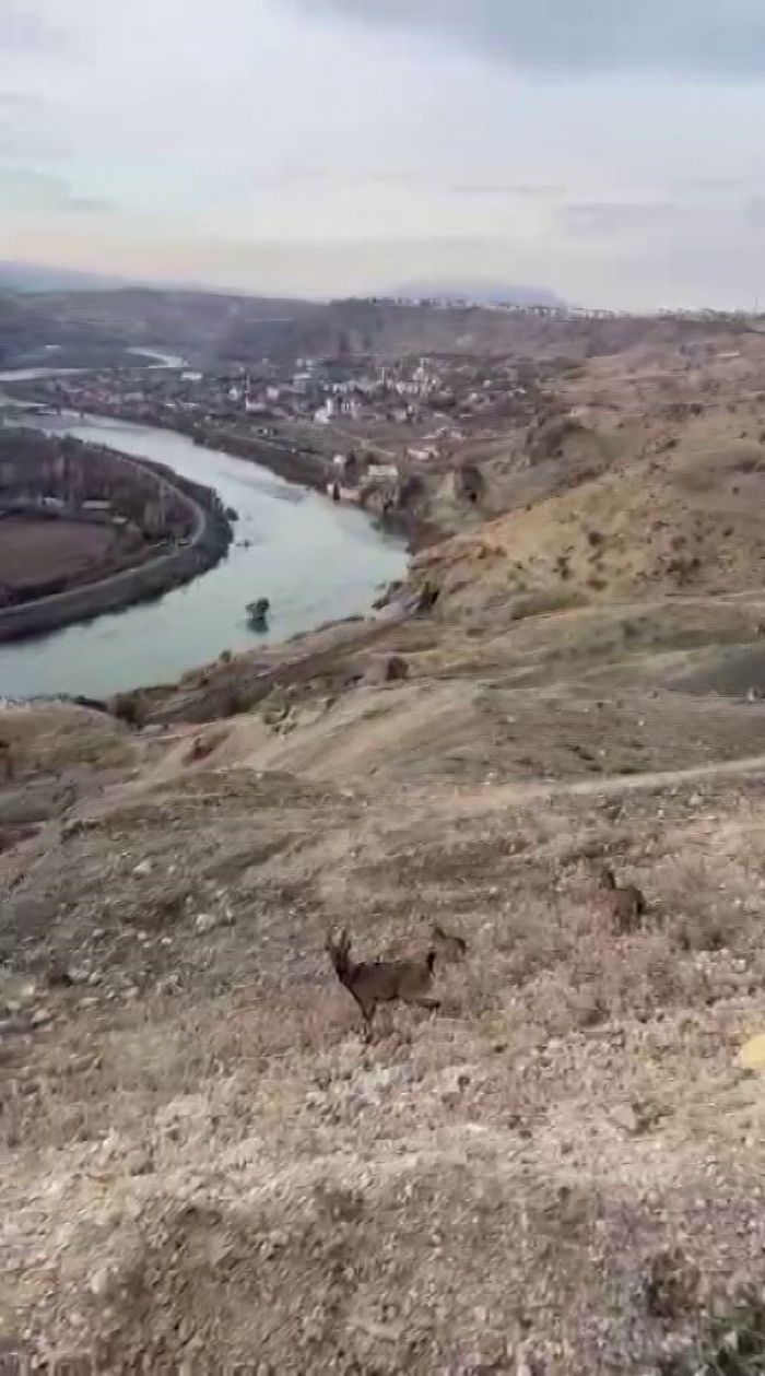 Koruma altndaki da keileri Palunun esiz manzarasna dahil oldu