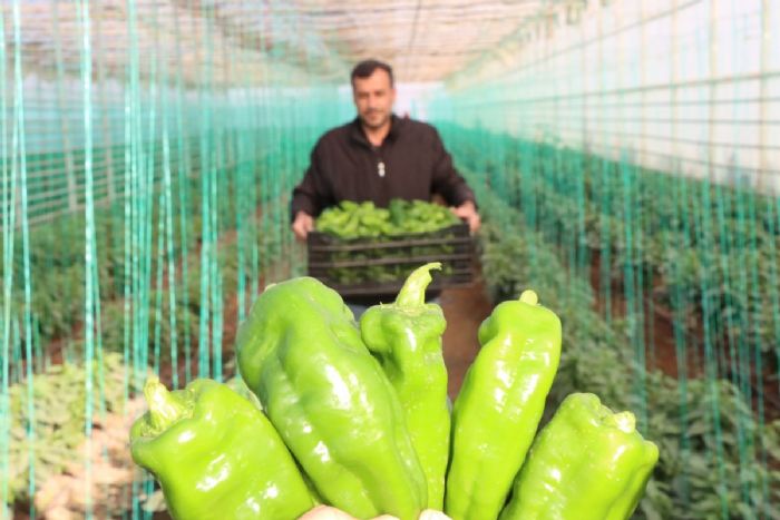 'Toplum Temelli Seraclk' projesinde hasat devam ediyor