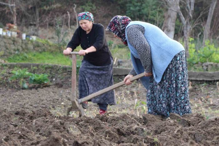 Genler tarlaya girmiyor