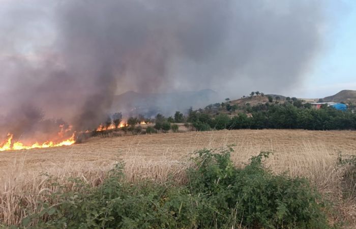 Saman yangnnda hayvanlar tahliye edildi