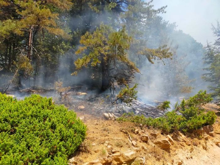 Kahramanmarataki orman yangn iki noktada devam ediyor