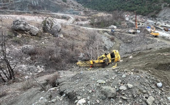 Freni boalan vin arampole devrildi