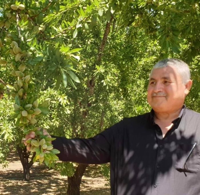 Bakan Turanl: Badem fiyatlarn girdi fiyatlar gz nne alnarak hesaplanmaldr