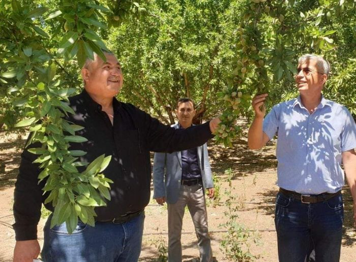 Bakan Turanl: Hububatta yaanan sknt badem de yaanmasn