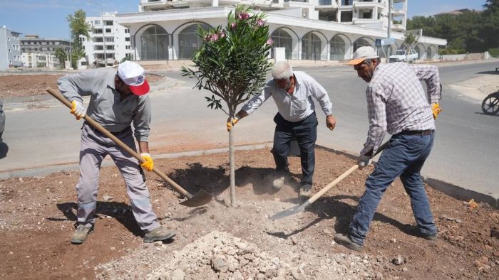 Adyaman Belediyesi peyzaj almalarna devam ediyor