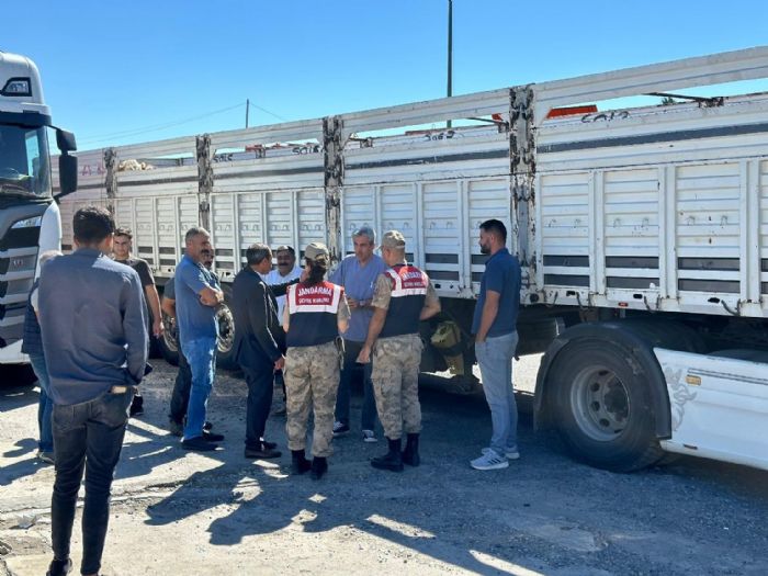 Diyarbakrda sevk belgesi olmayan 384 adet hayvan kontrole takld