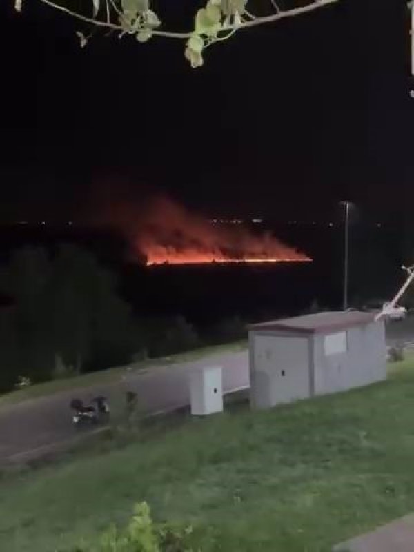 Hevsel Bahçeleri'nde Korku Dolu Anlar: Yangın Son Anda Kontrol Altına Alındı 