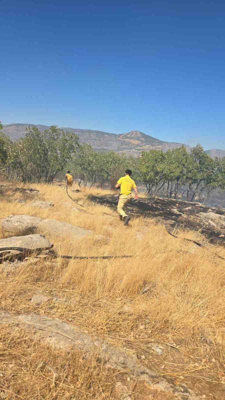 Diyarbakır’ın Dicle İlçesinde Orman Yangını Kontrol Altına Alındı 