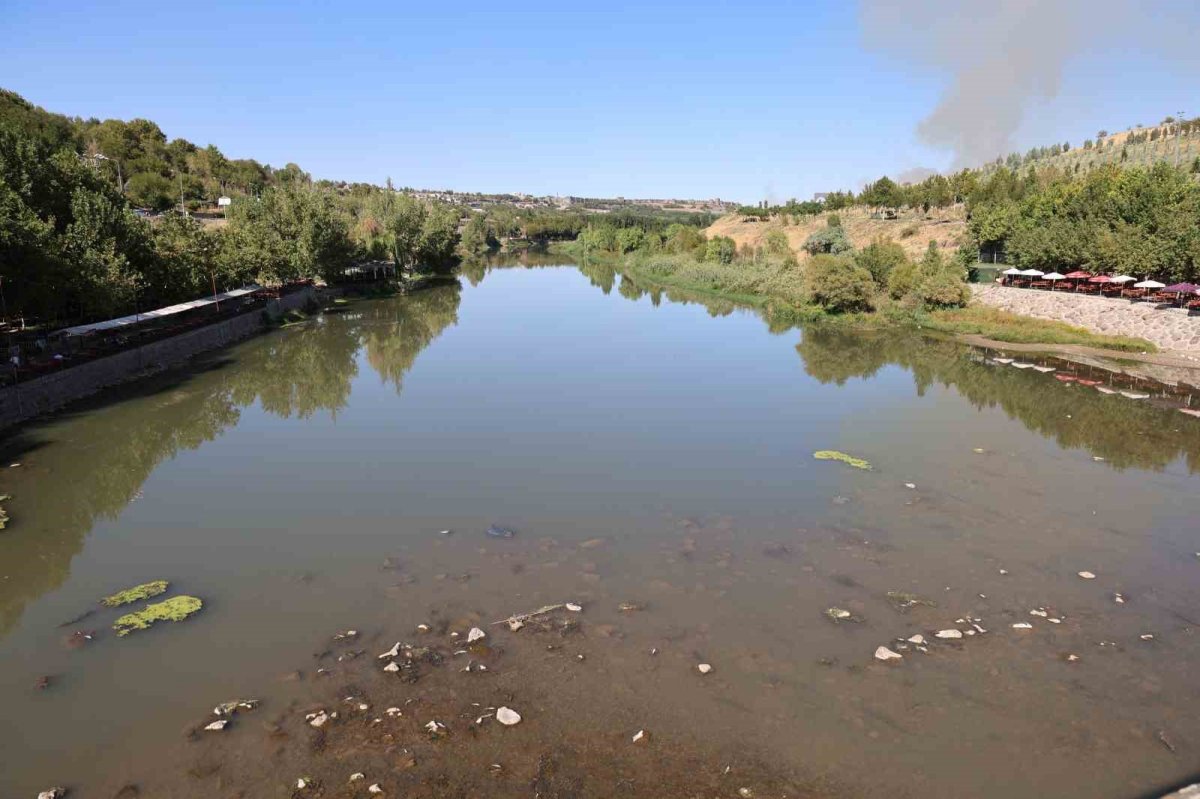 Diyarbakır Bölümünde Dicle Nehri’nde Balık Ölümleri Yaşanıyor