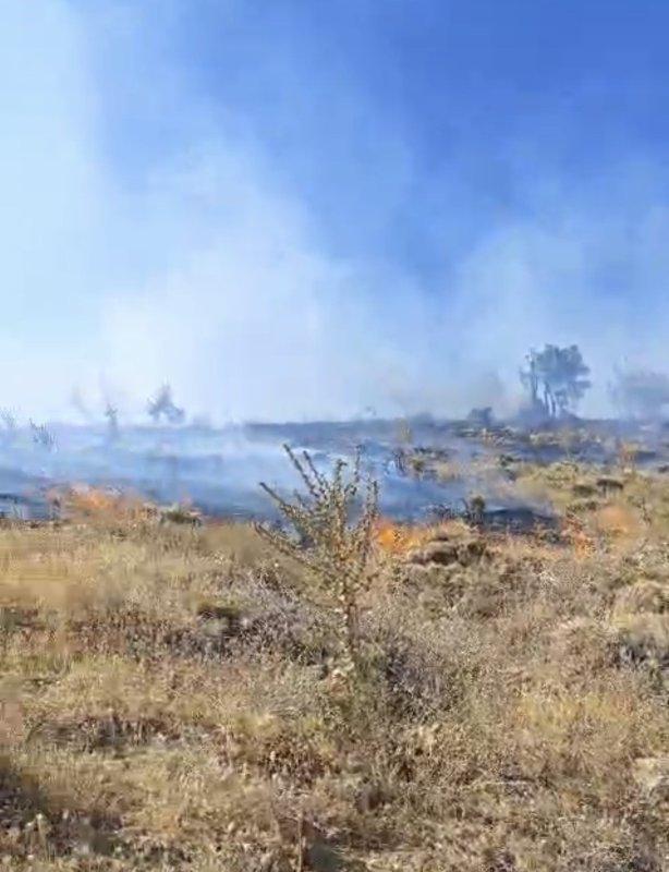 Adıyaman Sincik'te Orman Yangını: Meşe Ağaçları ve Geven Bitkisi Zarar Gördü