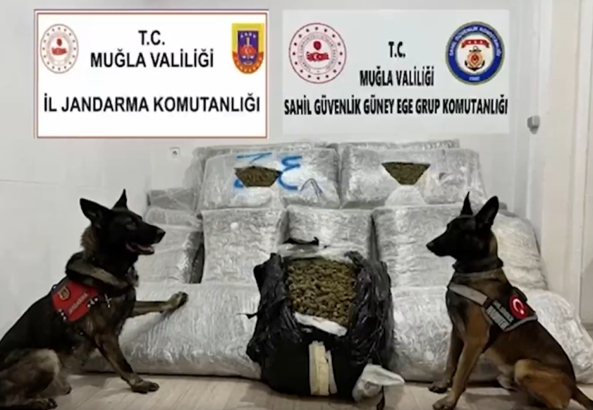 Bakan Yerlikaya: ‘Muğla açıklarındaki teknede 210 kilogram skunk ele geçirildi’