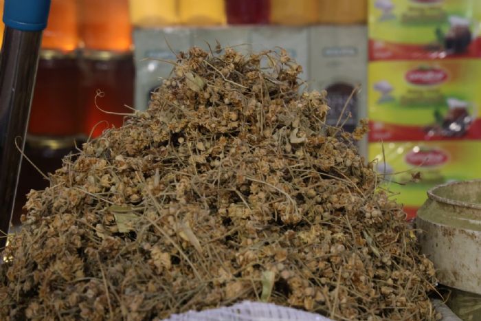 Havaların soğumasıyla birlikte ıhlamura talep arttı