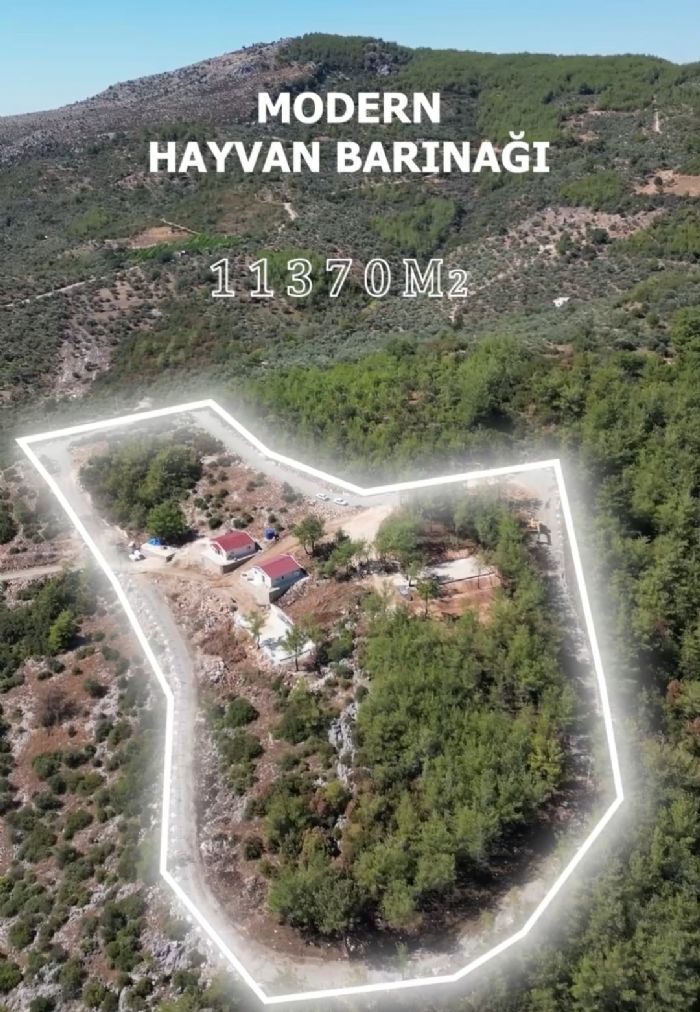 Kozan’da Sokak Hayvanları İçin Yeni Yaşam Alanı Hazır Hale Geliyor